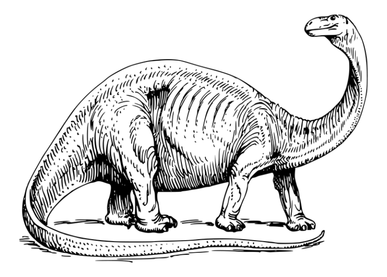 Ink style illustration of a brontosaurus dinosaur